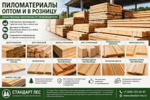 Пиломатериалы оптом: как устроен рынок, какие виды древесной продукции востребованы и на что обращают внимание при закупке