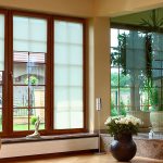 picture of French windows