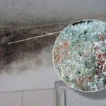 picture of mold on the balcony